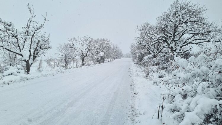 Обилен снеговалеж затруднява движението в Асеновградско