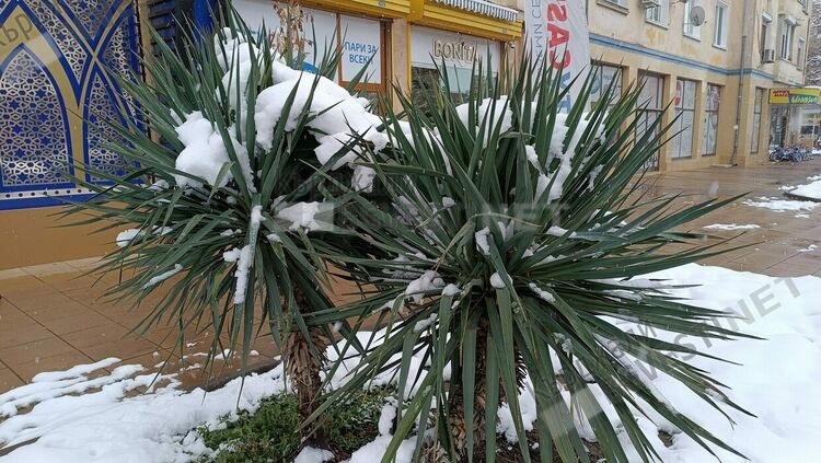 Предимно слънчево и тихо време днес в Кърджали