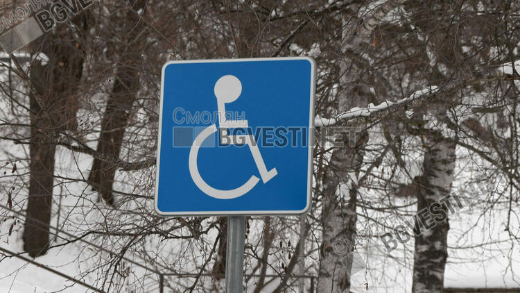 821 безплатни винетки за хора с увреждания в Смолянска област от началото на годината