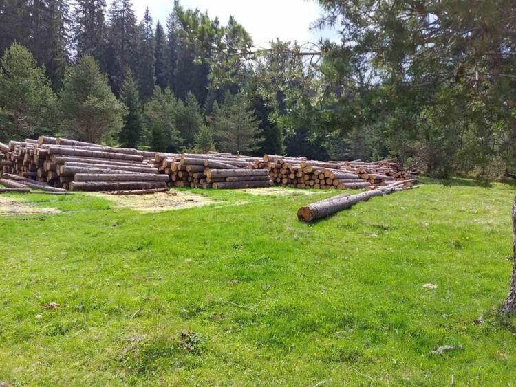 ЮЦДП: Над 200 акта за нарушения след хиляди проверки през 2024 г.