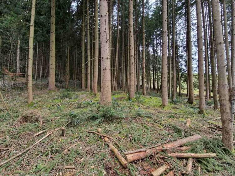 ЮЦДП: Над 200 акта за нарушения след хиляди проверки през 2024 г.