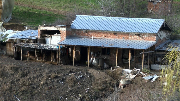 В Сърница правят подписка срещу животновъд