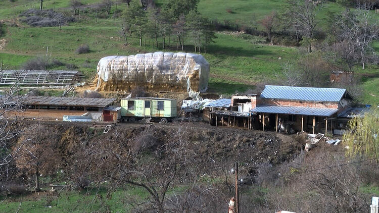 В Сърница правят подписка срещу животновъд