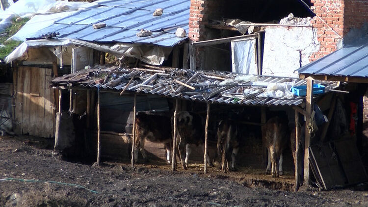 В Сърница правят подписка срещу животновъд