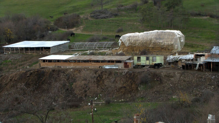 В Сърница правят подписка срещу животновъд