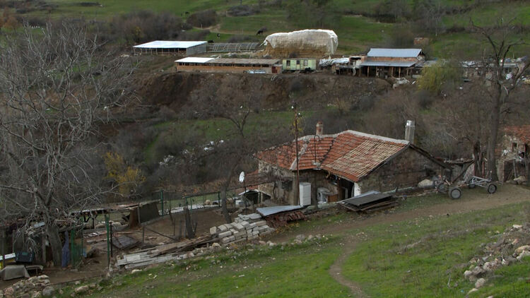 В Сърница правят подписка срещу животновъд