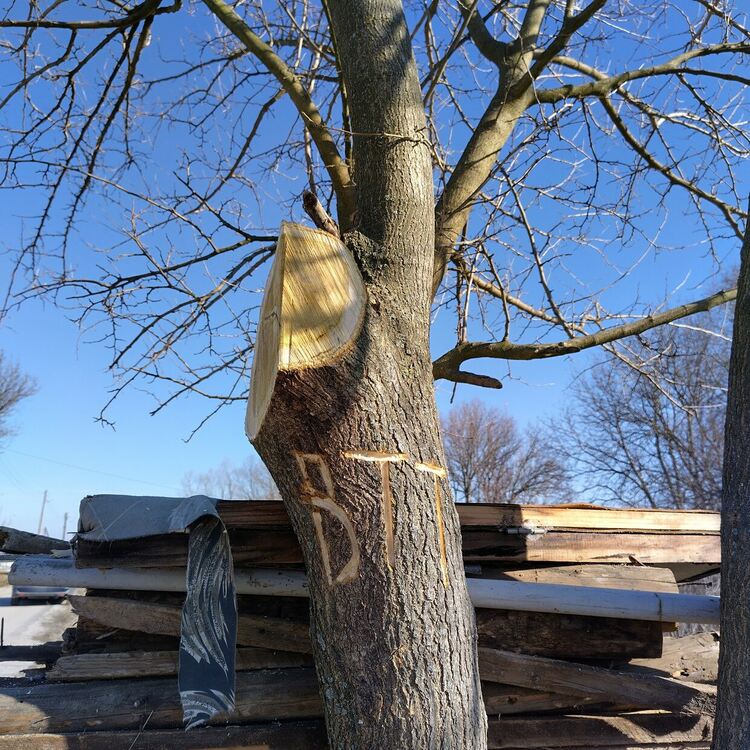 Доброволци чистиха коритото на реката в Книжовник