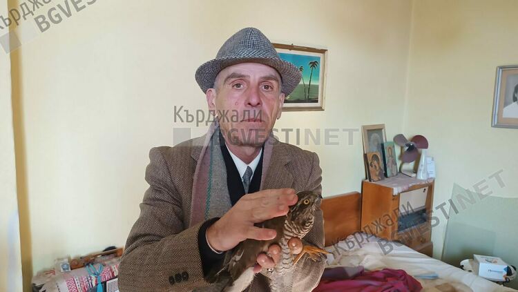 Простреляха  ястреб,ловувал гълъби в градинката на ресторант „Москва”в центъра на Кърджали