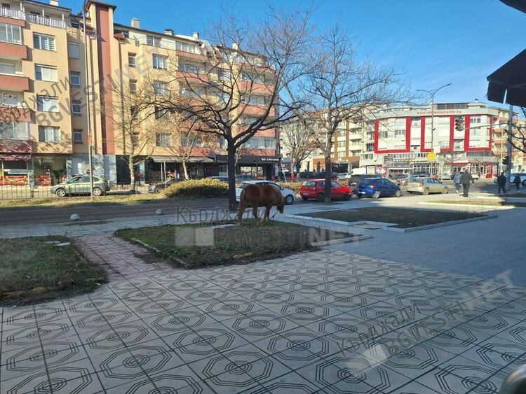 В града на „индианците от племето дакота” коне се разхождат и пасат в градинките безпрепятствено