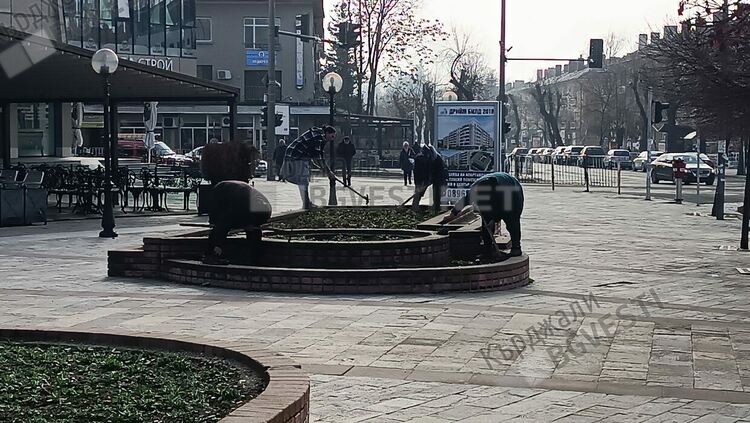 Прекопават градинките с цветя в Кърджали, теменужките цъфват до седмица-две