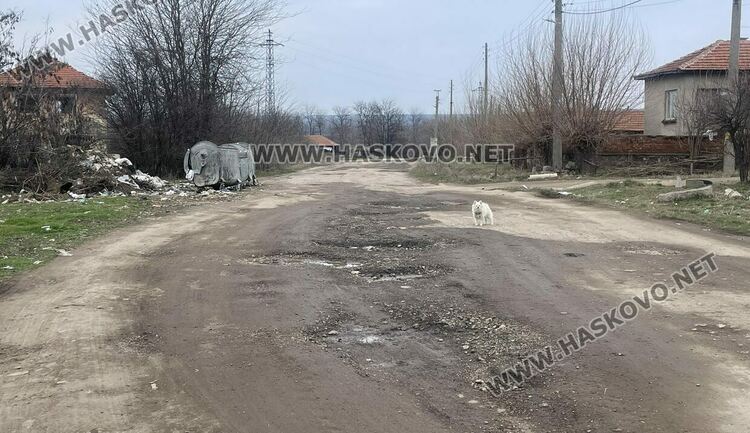 АПИ: Ремонтът на пътя Върбица – Скобелево ще започне през 2025 година