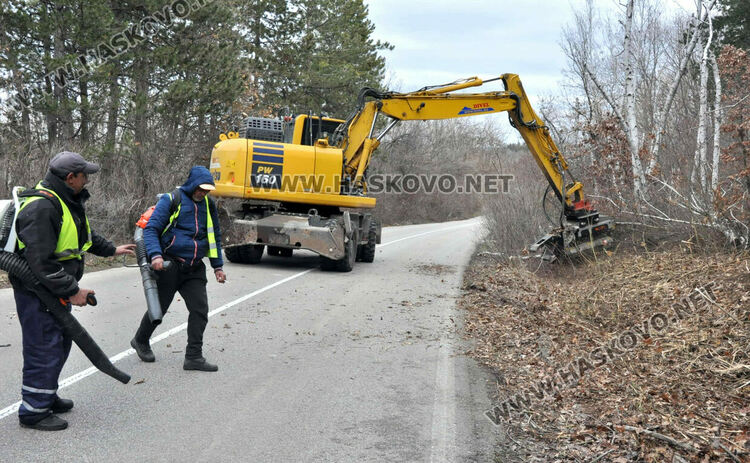 Втори ден пътят за ханче „Клокотница“ е затворен заради санитарна сеч