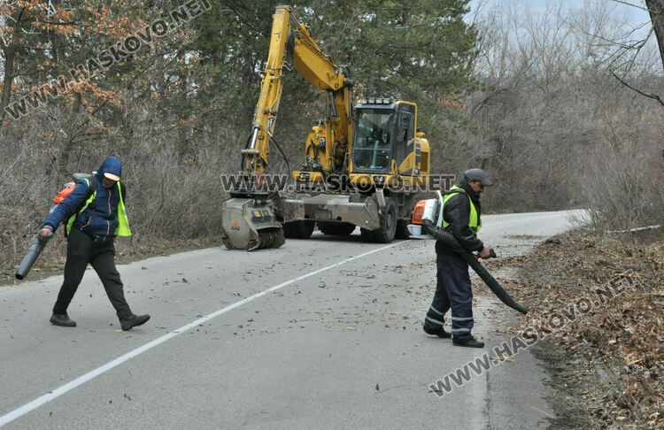 Втори ден пътят за ханче „Клокотница“ е затворен заради санитарна сеч