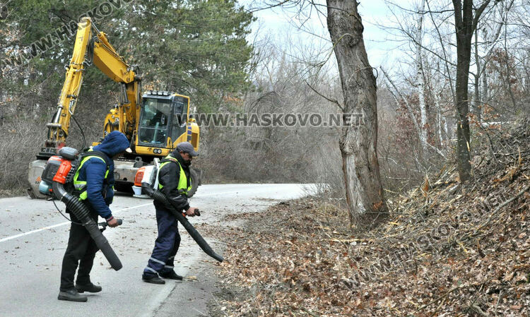 Втори ден пътят за ханче „Клокотница“ е затворен заради санитарна сеч
