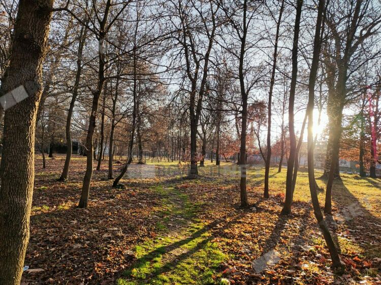 Променлива облачност днес над Кърджали,тихо време