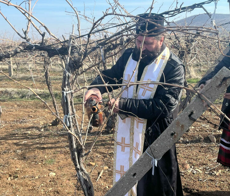 Зарязаха и благословиха лозята край Гарваново и Сусам