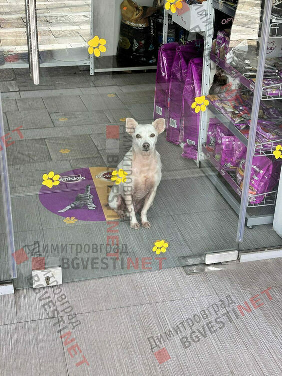 Побой с метална тръба и смърт в центъра на Димитровград