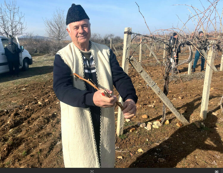 Зарязаха и благословиха лозята край Гарваново и Сусам