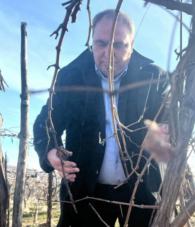 Зарязаха и благословиха лозята край Гарваново и Сусам