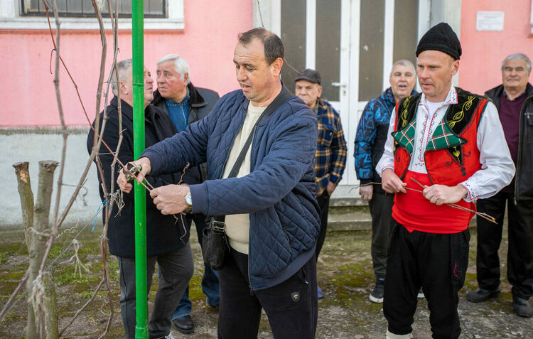 Зарязаха и благословиха лозята край Гарваново и Сусам