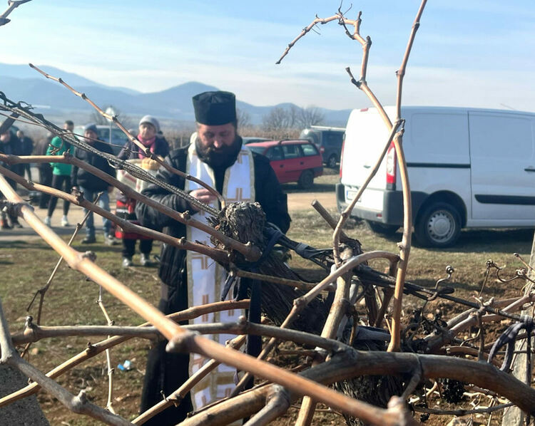 Зарязаха и благословиха лозята край Гарваново и Сусам