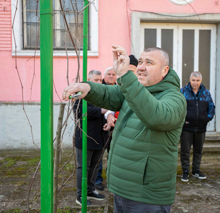 Зарязаха и благословиха лозята край Гарваново и Сусам