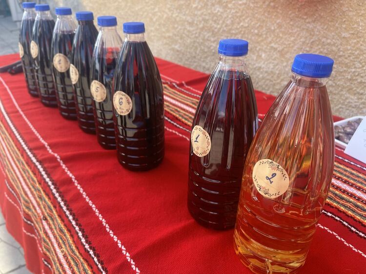 Читалището в село Мандра възобнови дейност след повече от 30 години