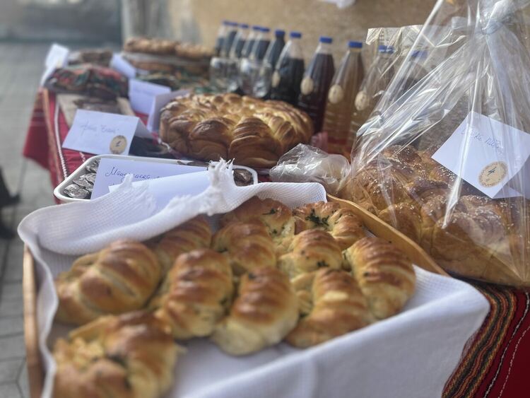 Читалището в село Мандра възобнови дейност след повече от 30 години