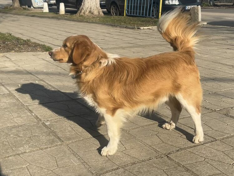 Читалището в село Мандра възобнови дейност след повече от 30 години