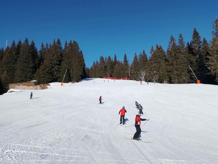 Съвместен курс по специализирана ски подготовка между Българската федерация по ски и 101-ви Алпийски полк се проведе в Пампорово 