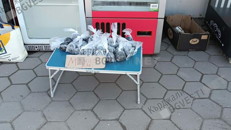 На Пазара в Кърджали предлагат загадъчния планински лечител мумио на половин цена