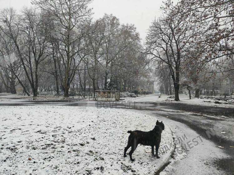 Облачно с кратък снеговалеж днес в Кърджали