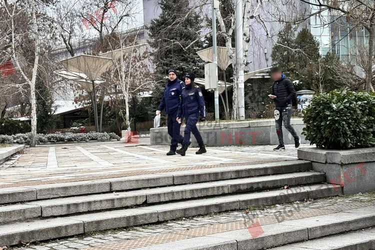 пешеходни полицейски патрули