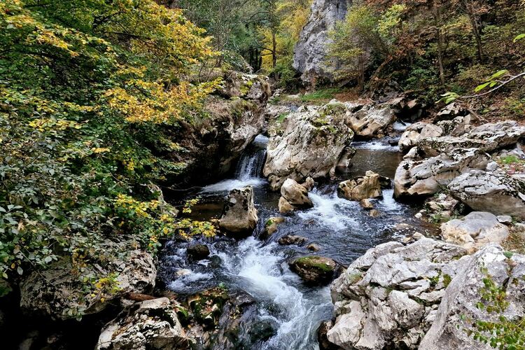Една зимна разходка из красотите на Трънския край