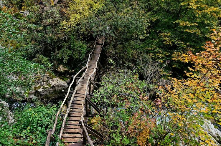 Една зимна разходка из красотите на Трънския край
