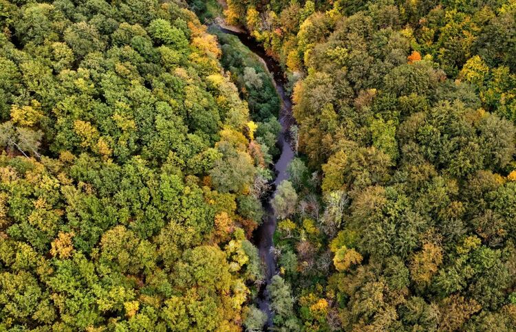 Една зимна разходка из красотите на Трънския край