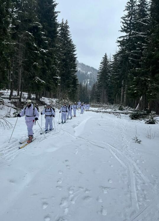 Съвместна подготовка между 101-ви Алпийски полк и румънските въоръжени сили