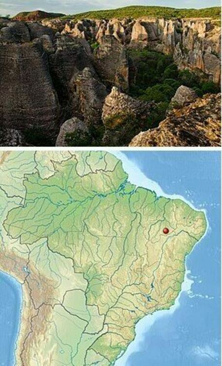 Най-ранното изображение на целувка да е на 50 000 години