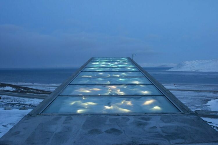 Арктическото хранилище на остров Шпицберген получи над 14 000 нови семена