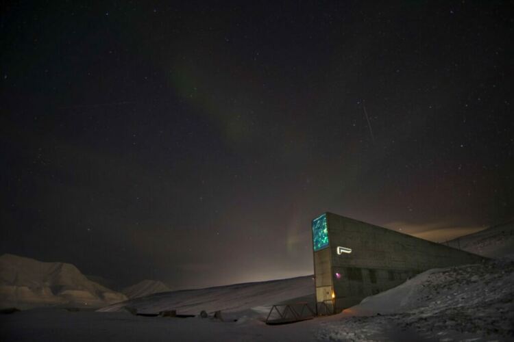 Арктическото хранилище на остров Шпицберген получи над 14 000 нови семена