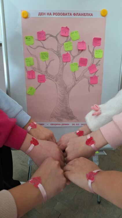 В община Девин отбелязаха „Деня на розовата фланелка“