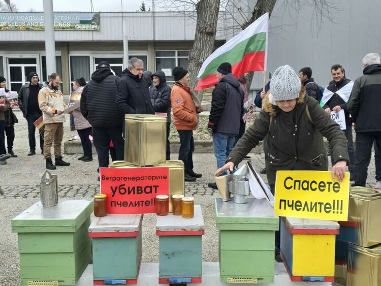 Протестът на пчеларите в Добрич Снимка БНТ
