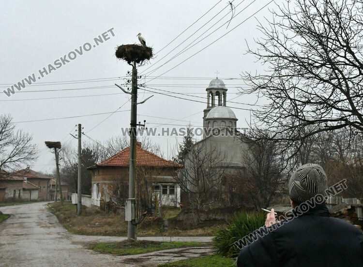 В Подкрепа се молят да няма студ през март, за да не премръзнат щъркелите
