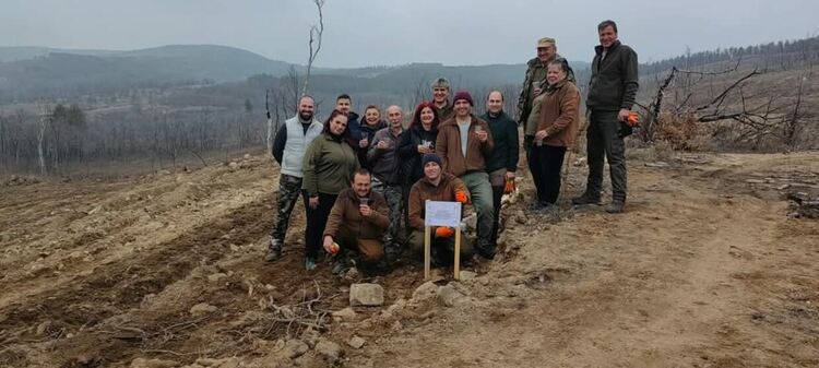 ЮЦДП – Смолян с кампания за залесяване на 155 дка опожарени площи