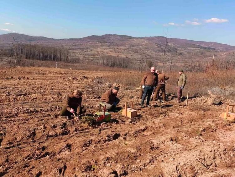 ЮЦДП – Смолян с кампания за залесяване на 155 дка опожарени площи