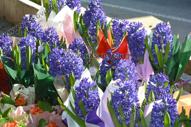 8-9 лева достигна розата в Хасково за 8-ми март