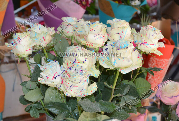 8-9 лева достигна розата в Хасково за 8-ми март