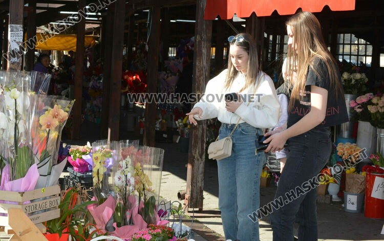 8-9 лева достигна розата в Хасково за 8-ми март