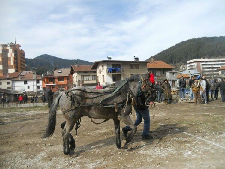 Чепеларе отново ще отбележи Тодоровден с празнично шествие и конни състезания