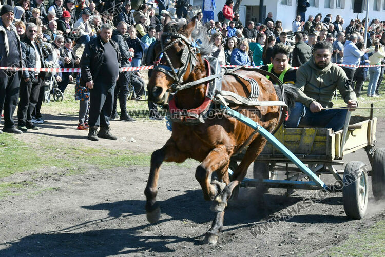За Тодоровден по традиция в Бисер имаше кушии 